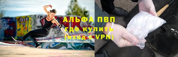 индика Алексеевка