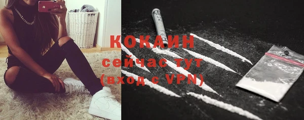 соль ск Алзамай