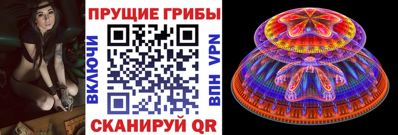 Псилоцибиновые грибы MAGIC MUSHROOMS  Бердск 
